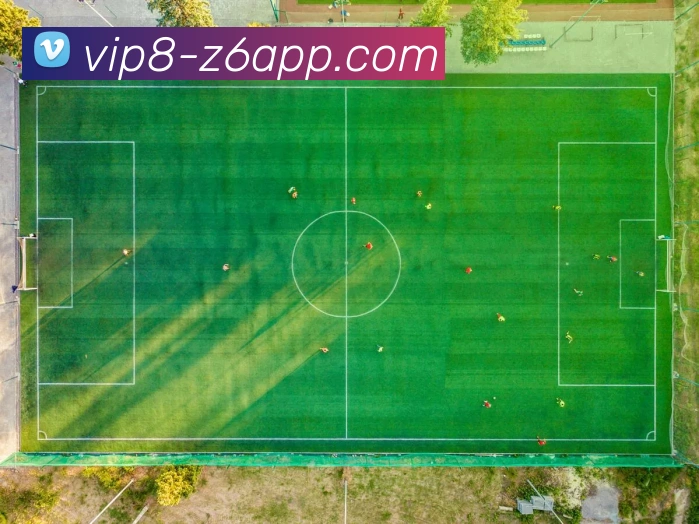 尊龙娱乐APP 封面图